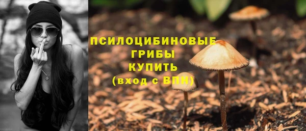 индика Россошь