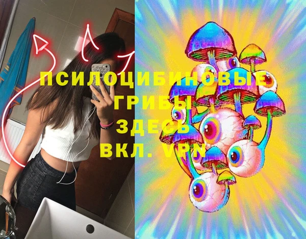 ПСИЛОЦИБИНОВЫЕ ГРИБЫ Беломорск