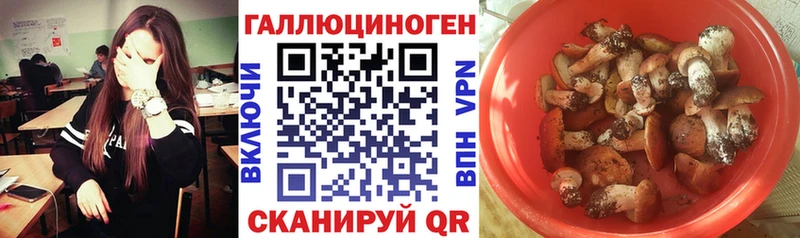 Галлюциногенные грибы Magic Shrooms  Ялта 